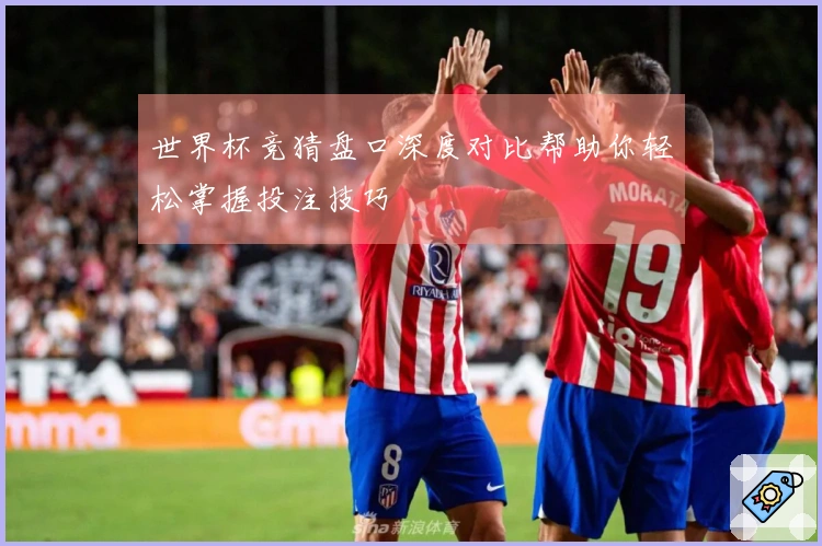 世界杯竞猜盘口深度对比帮助你轻松掌握投注技巧