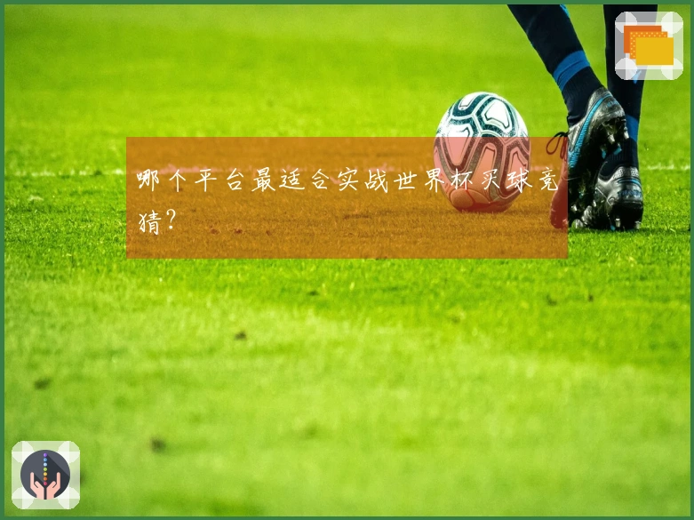 哪个平台最适合实战世界杯买球竞猜？
