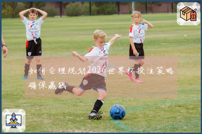 如何合理规划2026世界杯投注策略确保赢钱